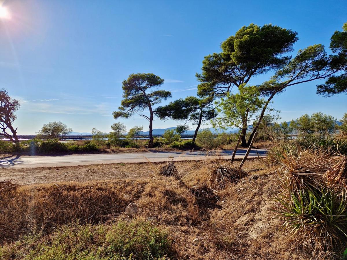 Les Flamants Roses De La Capte T3 Hyères Exterior foto